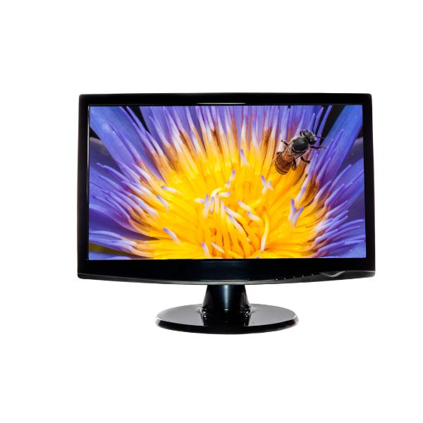 Monitores