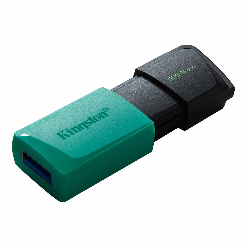 Kingston Llave Maya 256GB, DTXM/256G